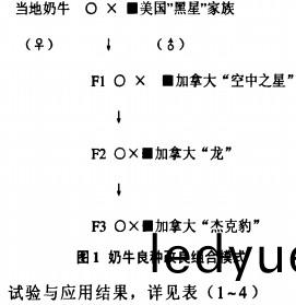 飼(si)料顆粒機稭稈(gan)壓(ya)塊(kuai)機 飼料顆(ke)粒機(ji)稭稈壓(ya)塊(kuai)機